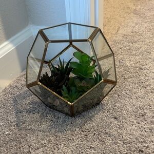 Geometric Glass Terrarium with Green Succulents